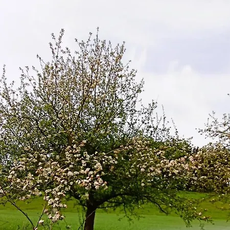 Appartement Bodensee Goppertsweiler Fuchs Neukirch (Tubingen)