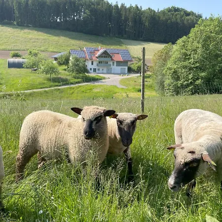 Bodensee Goppertsweiler Fuchs Appartement