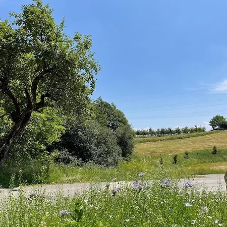 Bodensee Goppertsweiler Fuchs * Neukirch (Tubingen)