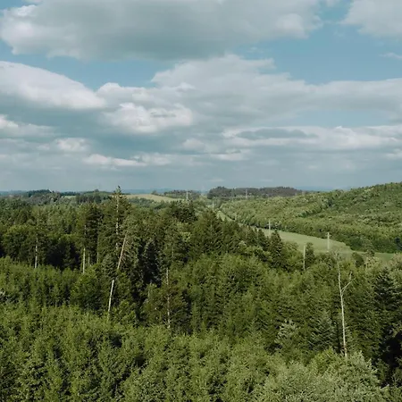 Bodensee Goppertsweiler Fuchs Neukirch (Tubingen)