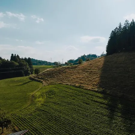 Bodensee Goppertsweiler Fuchs Appartement