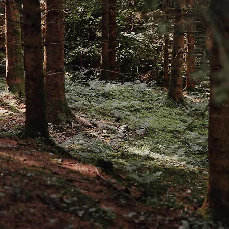 Appartement Bodensee Goppertsweiler Fuchs *