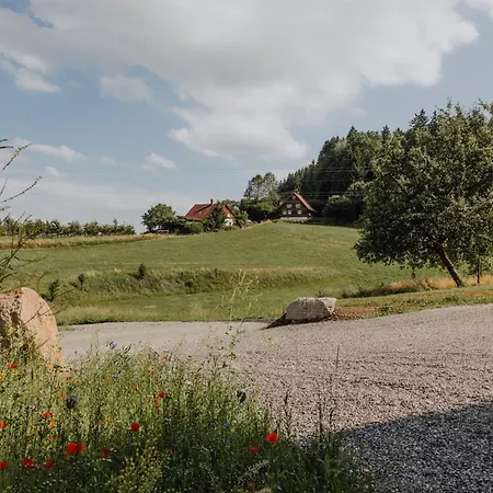 Bodensee Goppertsweiler Fuchs Neukirch (Tubingen)