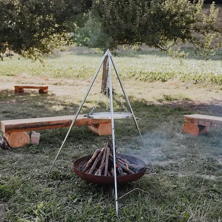 Bodensee Goppertsweiler Fuchs Neukirch (Tubingen)