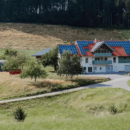 Bodensee Neukirch Goppertsweiler Fuchs