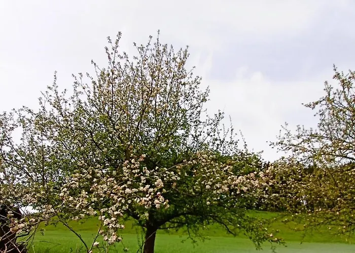 Appartamento Bodensee Goppertsweiler Fuchs Neukirch (Tubingen)