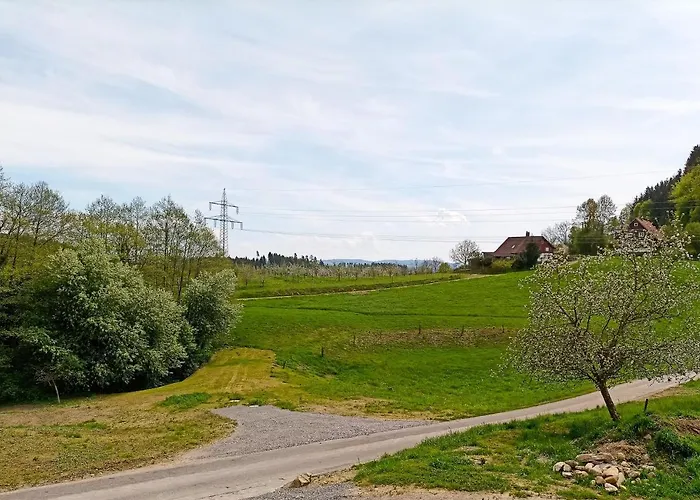 Bodensee Goppertsweiler Fuchs Appartamento Neukirch (Tubingen)