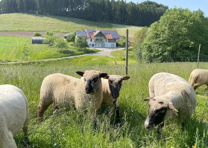 Bodensee Goppertsweiler Fuchs Appartamento