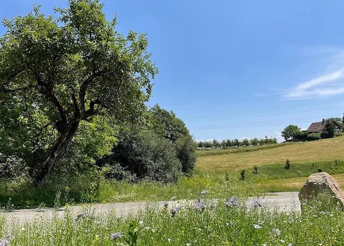 Bodensee Goppertsweiler Fuchs * Neukirch (Tubingen)