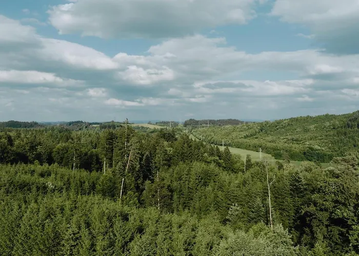 Bodensee Goppertsweiler Fuchs Neukirch (Tubingen)
