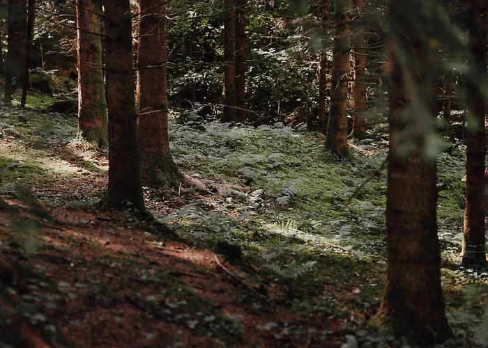 Appartamento Bodensee Goppertsweiler Fuchs *