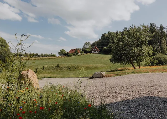 Bodensee Goppertsweiler Fuchs Neukirch (Tubingen)